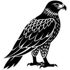 eagle isolated on white background