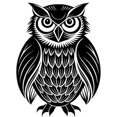 owl on white background