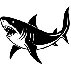 shark illustration
