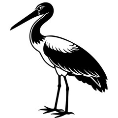 stork on a white background