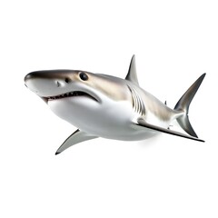 Fototapeta premium shark isolated on white