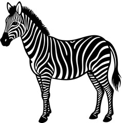 zebra vector illustration