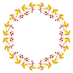 Autumn wreath of rowan with space for text. Round floral ornament. Holiday garland of bright leaves and berries on a white background. Decor for Thanksgiving Day. Illustration with red rowan berries.