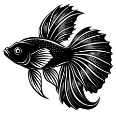 black and white fish