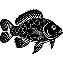 black and white fish