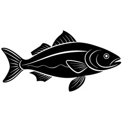 fish on a white background