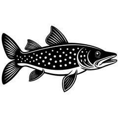 illustration of a fish