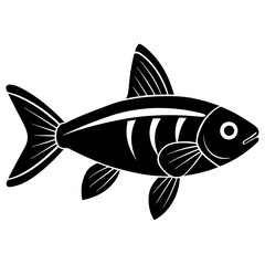 fish on a white background