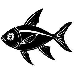 fish illustration
