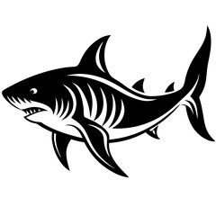 illustration of fish