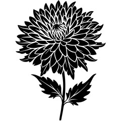 black and white flower