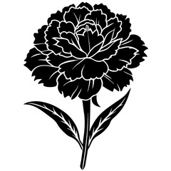 black and white flowers