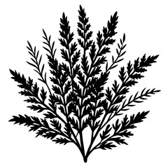 black and white silhouette of a plant