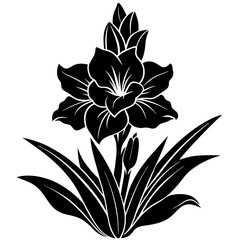 black and white flower