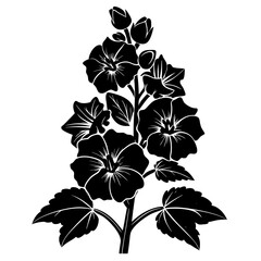 black and white flowers