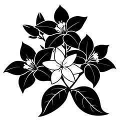 black and white flower