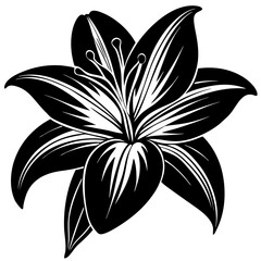 black and white flower
