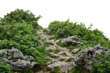A winding path ascends to the top of a mountain, with rugged terrain and scenic views