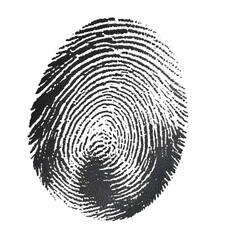 Close-up of a black and white fingerprint pattern, showcasing unique loops and ridges on a plain white background.
