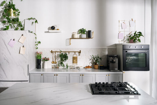 Modern kitchen with marble countertops and greenery in a bright space during the day