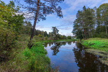 A calm body of water with trees in the background