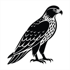 Fototapeta premium Hawk silhouette vector