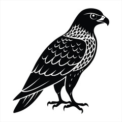 Hawk silhouette vector