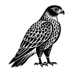 Fototapeta premium Hawk silhouette vector
