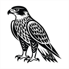 Obraz premium Hawk silhouette vector