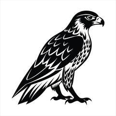 Hawk silhouette vector