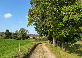 A dirt path winds through a lush green landscape lined with trees under a clear blue sky. In the distance, buildings are partially visible, blending with the natural surroundings in, Harden, Bingley, 