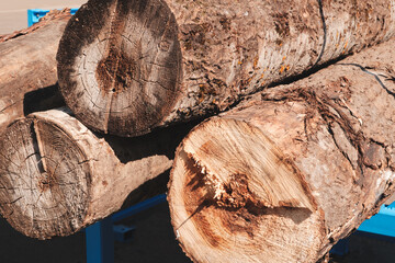 A large log is being processed by a machine. The machine is green and black. The log is being cut...