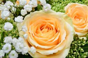 Bouquet of yellow pastel roses and white gypsophila close-up