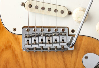 エレキギターのピックアップとブリッジ、electric guitar、pickup、Bridge © 竹澤宏