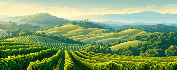 Fototapeta premium A picturesque vineyard scene with orderly rows of grapevines stretching across rolling hillsides. Vector flat minimalistic isolated illustration.