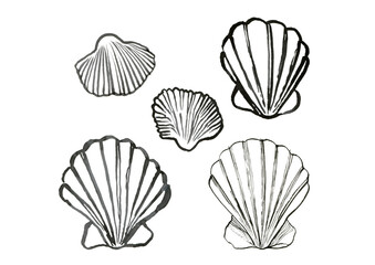 Hand drawn sea shells with sea stones, graphic elements for design, ink hand drawn shells and stones elements for print, textile, packaging design, clothes prints, wrapping paper, textile, invitations