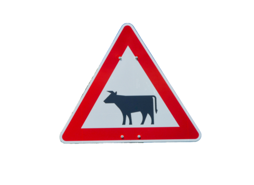 Deutsches Warnschild mit Kuh Rind Kuhsymbol