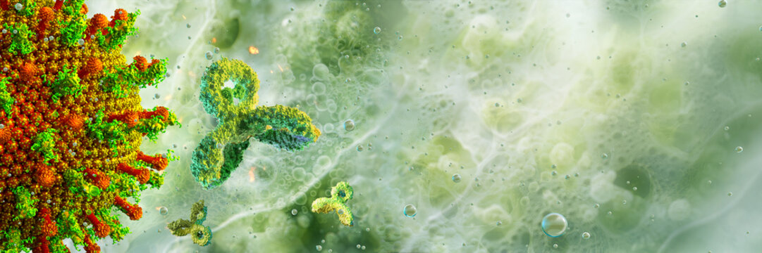 Antibodies, immunoglobulin Ig protein cells 3D medical background. Immune system, IgM, IgG, IgE, IgD, IgA antibodies glycoproteins, DNA specific antigen against virus. Immunity responce, mRNA vaccine