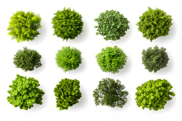 Fototapeta premium Collection of tree views from above isolated on a white background, tree top