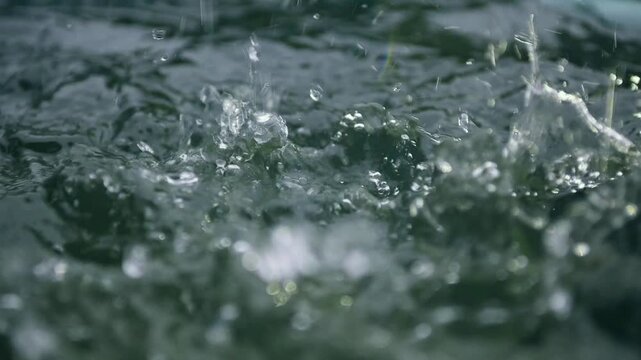 Drops fall into the water creating a splash. 