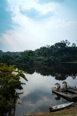 Fototapeta premium Nature and trees in Amazon jungle near Manaus Brazil