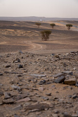 Obraz premium Dirt Tracks on Black Stones Near Merzouga