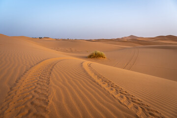 Off-Road Vehicle Silhouette on Erg Chebbi Dunes at Sunrise