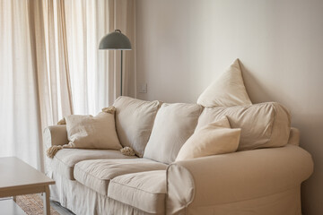 Cozy and Minimalist Living Room Featuring a Comfortable and Inviting Sofa for Relaxation