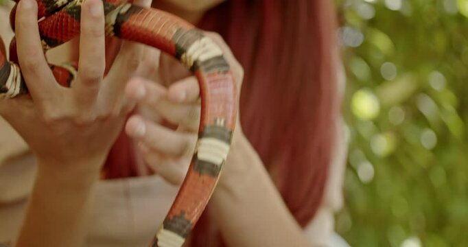 Close-up slow motion of a young woman holding a docile red milk snake.