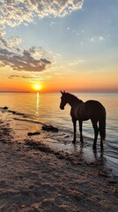 Horse standing at shoreline during sunset