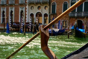 Venice and its gondolas, canals,birds,buildings,streets