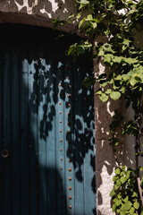 Wooden door with decorative climbing plant