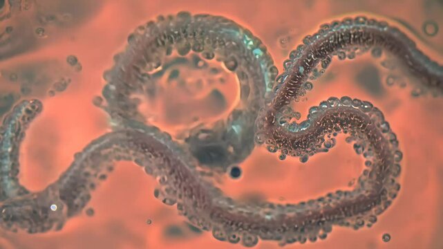 The virus is shown in close-up. The virus is surrounded by other viruses. Concept of danger and potential harm that can be caused by a virus