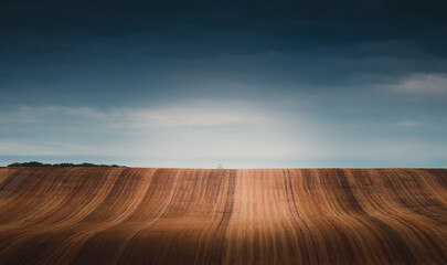 Naklejka premium A ploughed field is lit by a soft evening glow in the south of England
